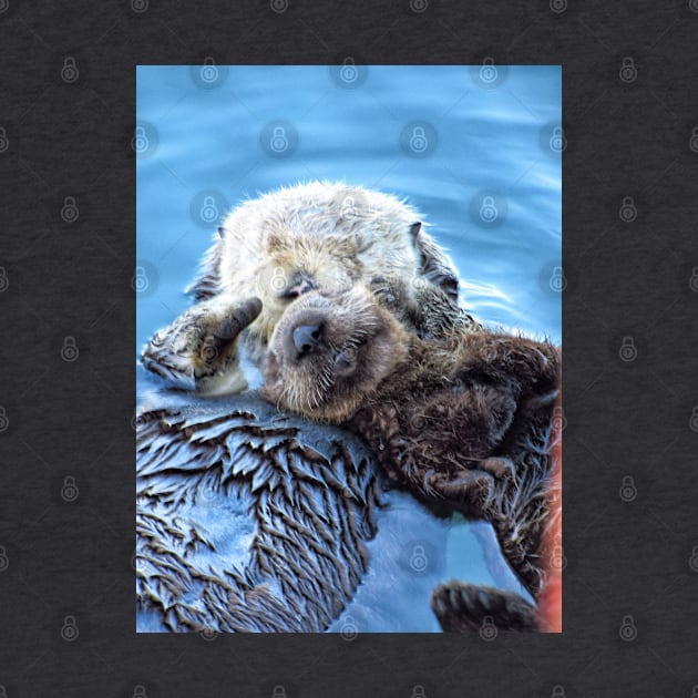 Smiling otters by Photography_fan